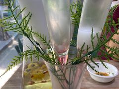 -探窝·竹笙椰子鸡(杨箕店)