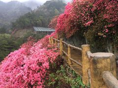 -木兰云雾山