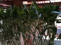 -丹江渔村(首都机场店)