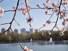 -太阳宫公园