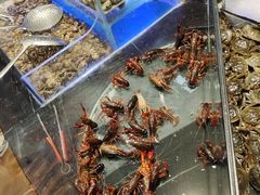 水产区-韩盛炭火烤肉(万达广场店)