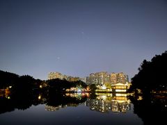 -荔湾湖公园