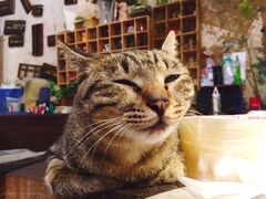 -小洲村