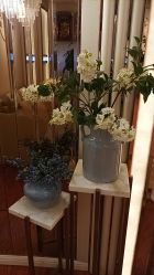 -茜尔维亚修身连锁(杨浦五角场店)