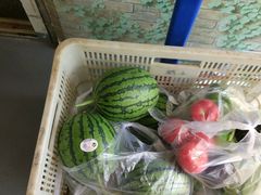 -庞各庄翠芳园西瓜蔬菜基地采摘园