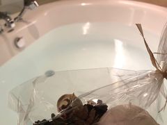 -青岛海尔洲际酒店