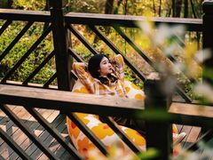 -铁山坪森林公园