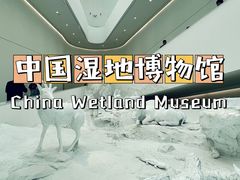 -中国湿地博物馆