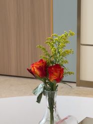 -韩辰医疗美容医院