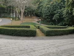 -清湖文化公园