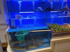 -城南往事·鲁菜济南菜(槐荫广场店)