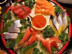 -春草居酒屋·晴子の店