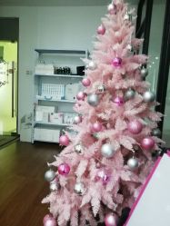 -Lab Season惜辰颜究社