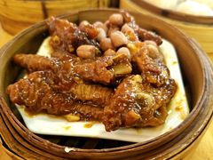 -阿弟早茶大排档(九村店)