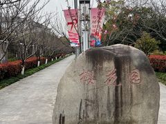 -高东镇樱花园
