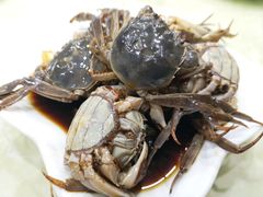 -红灯笼龙凤饭店(宁波老字号店)