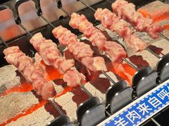 呼伦贝尔羊肉串-很久以前羊肉串(昌里路三钢里店)