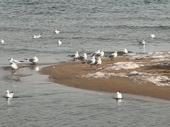 -东戴河风景区