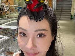 -立德动物医院·异宠·CT·鹦鹉(天河店)