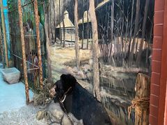 -北京动物园-畅观楼