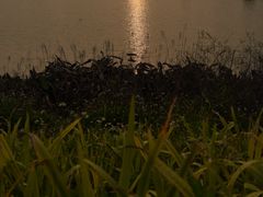 -光明小镇欢乐田园