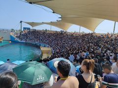 -秦皇岛乐岛海洋王国