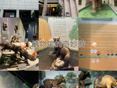 -深圳博物馆历史民俗馆