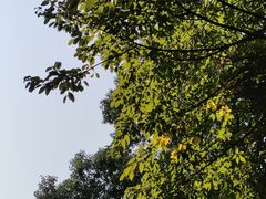 -海心沙亚运公园