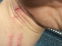 -一只羊烧烤(东湾半岛店)