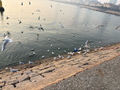 -即墨路小商品市场