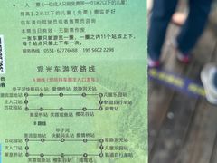 -合肥滨湖国家森林公园