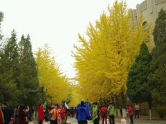 -辽宁大学(崇山校区)