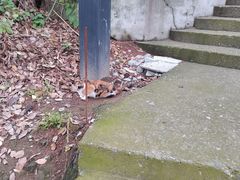 -毗山遗址-慈云寺