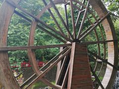 -广州白江湖森林公园