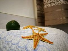 -兴旺渔家