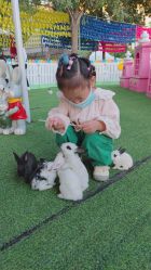 -萌宠亲子动物乐园(槐房万达店)