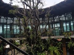 -The Ring Pavilion 魔幻森林