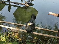 -长兴太湖图影湿地文化园