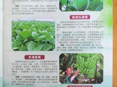 -润记农家菜
