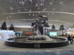 -青岛胶东国际机场