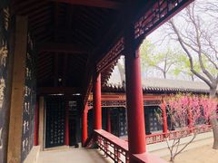 -碑林公园