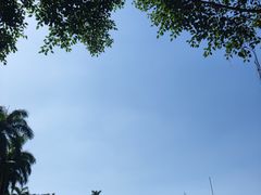 -侯臣咖啡文化村