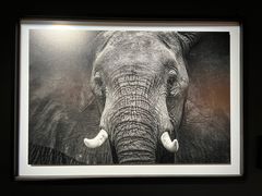 -罗红摄影艺术馆