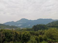 -雅安楠水阁温泉酒店