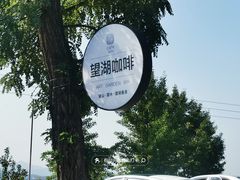 -望湖烤鱼