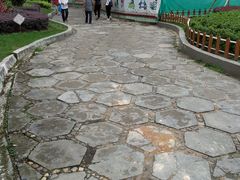 -金砂公园