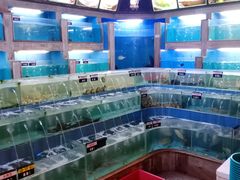 水产区-五谷芳乳鸽王(海景店)