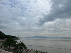 -深圳湾公园(南山区)
