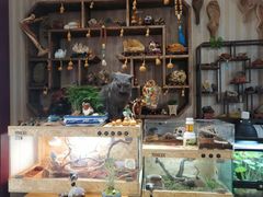 门面-Rabbit Cafe私房西餐甜点咖啡(栖霞路店)