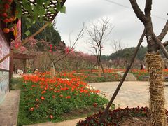 -绵阳盛世樱花悠乐谷